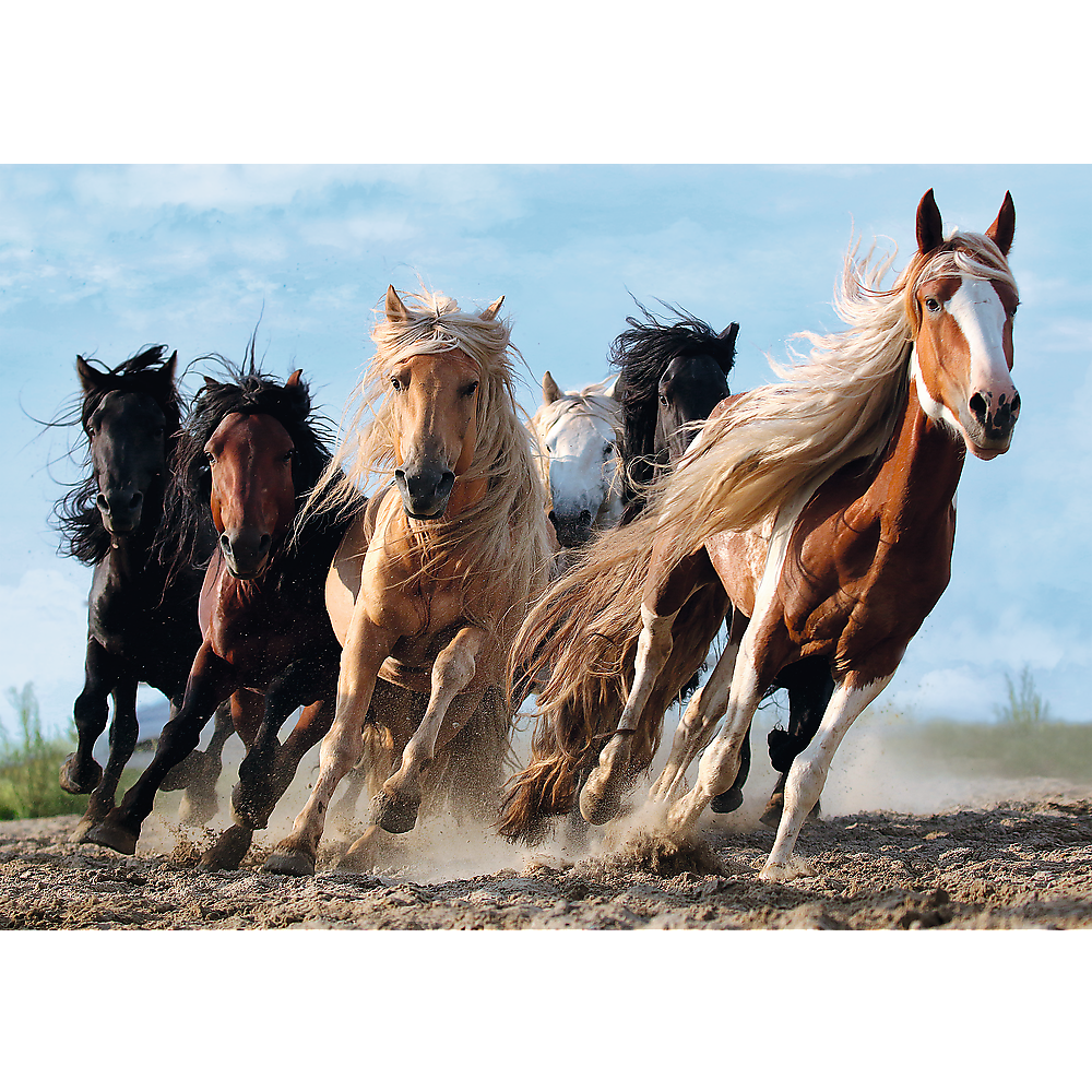 1000 Piece Jigsaw Puzzles, Galloping Horses, Wild Horse Puzzle, Animal Puzzle, Adult Puzzles, Trefl 10446