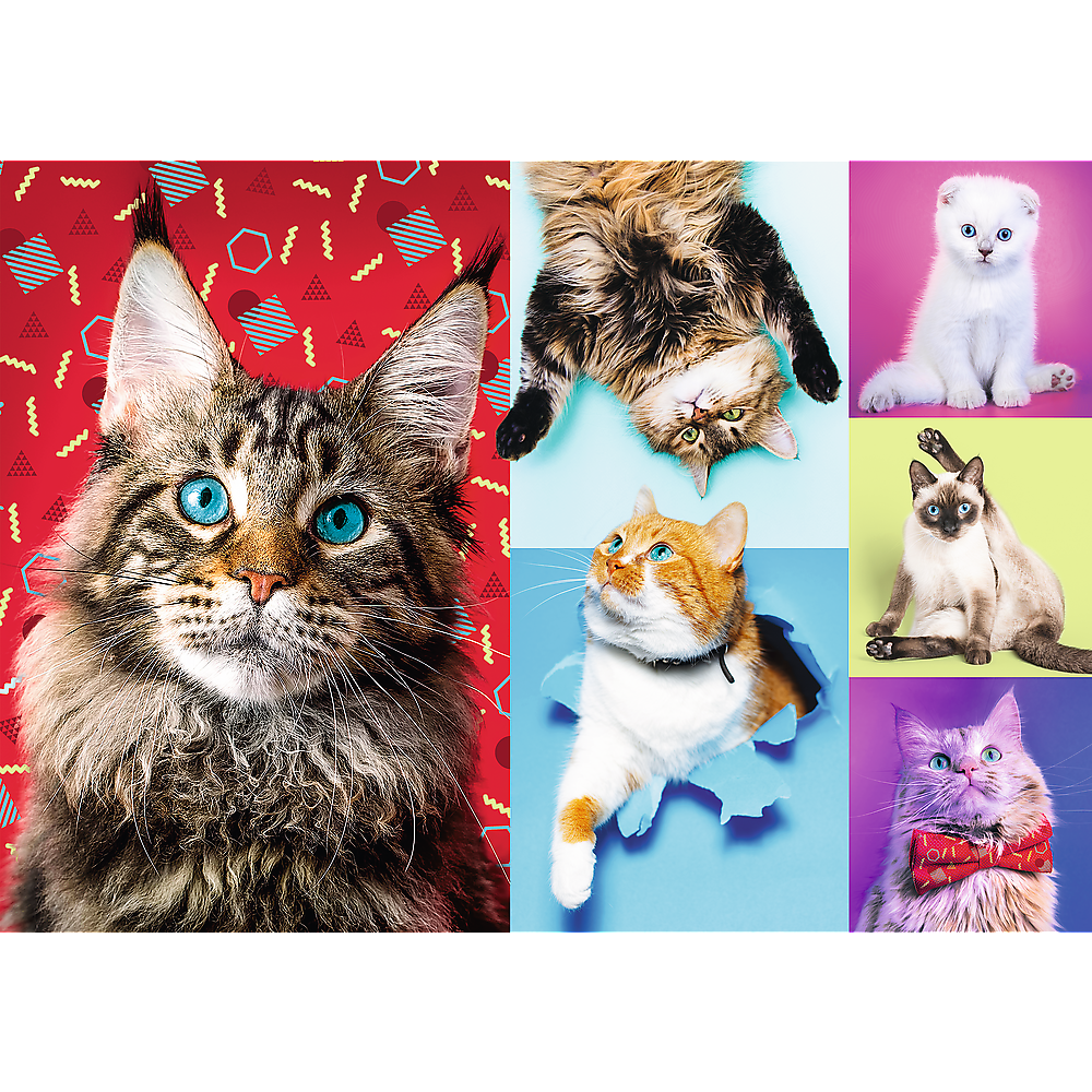 1000 Piece Jigsaw Puzzles, Happy Cats, Pets, Silly Animals, Cats and Kittens, Adult Puzzles, Trefl 10591