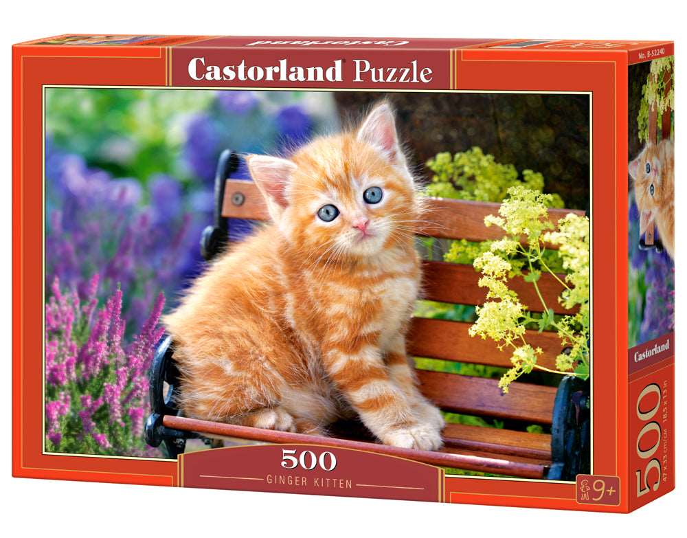 500 Piece Jigsaw Puzzle, Ginger Kitten, Animal puzzle, Cat puzzle, Kittie puzzle,