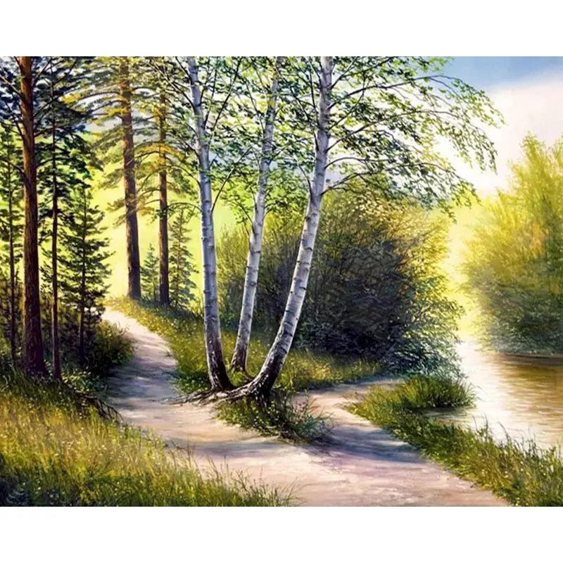 Canadian Birch by Flowing Stream  Acrylic Paint by Numbers Kit on Canvas for Adults