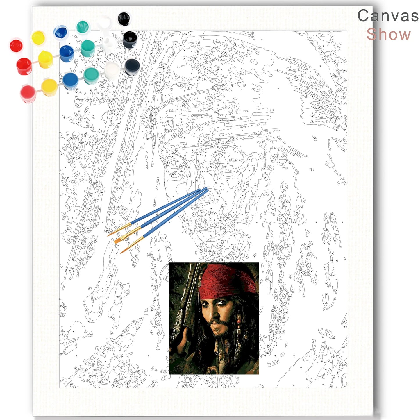 Famous Pirate Acrylic Paint By Numbers Kit on Canvas For Adults