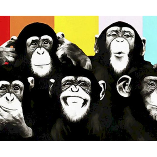 Crazy Chimps DIY Oil Painting By Numbers Kit