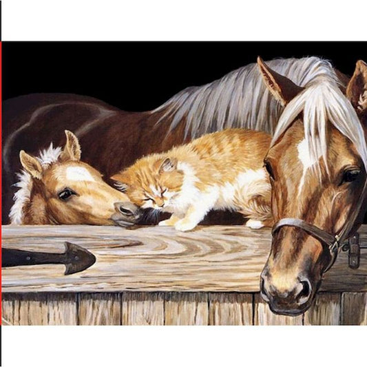 Horses DIY Oil Painting By Numbers Kit