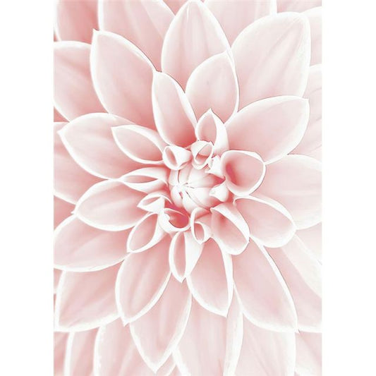 Oil Paint By Numbers Kit of Pink Flower on Canvas