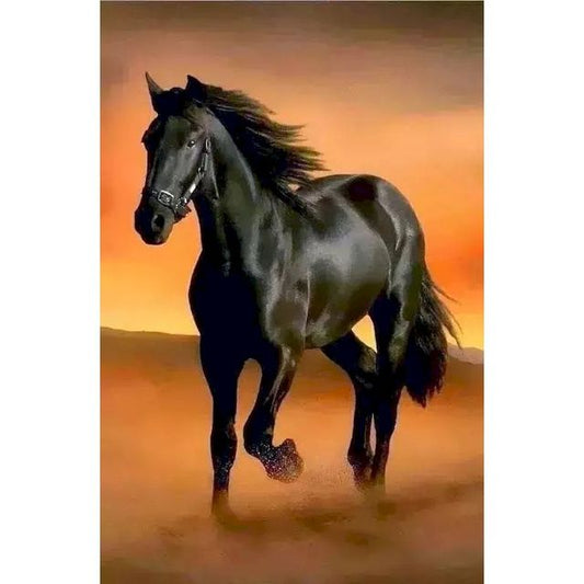 Black Running Horse DIY Oil Painting By Numbers Set