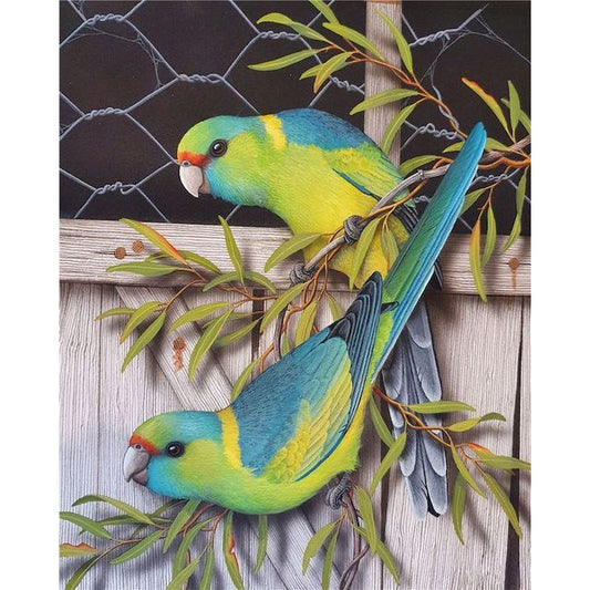 Bird Acrylic DIY Paint By Numbers Kits on Canvas